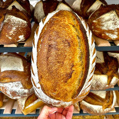 Pain, brioche et panettone au levain à quatre mains avec Tristan (Nos Pains Nos Gains) & Joël Schwalbach