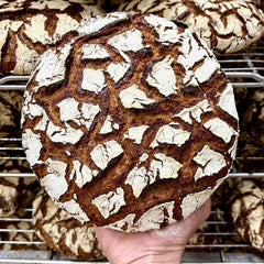Pain, brioche et panettone au levain à quatre mains avec Tristan (Nos Pains Nos Gains) & Joël Schwalbach