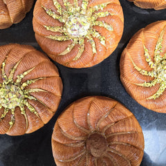 Panettone & Galette des rois revistée avec Joël Schwalbach