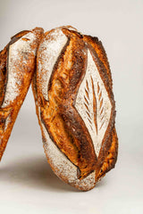 Pain, brioche et panettone au levain à quatre mains avec Tristan (Nos Pains Nos Gains) & Joël Schwalbach